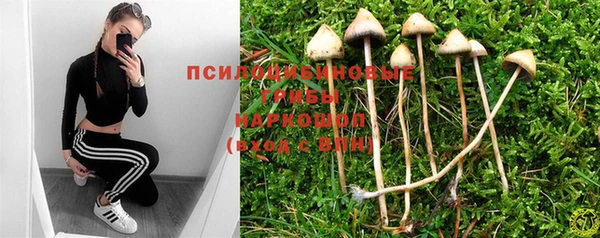 мдпв Абаза
