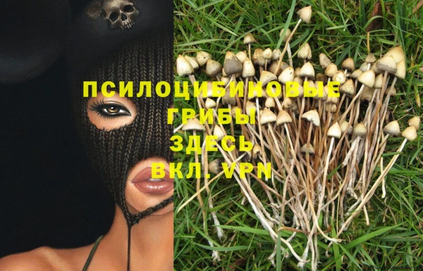 прущий лед Новодвинск