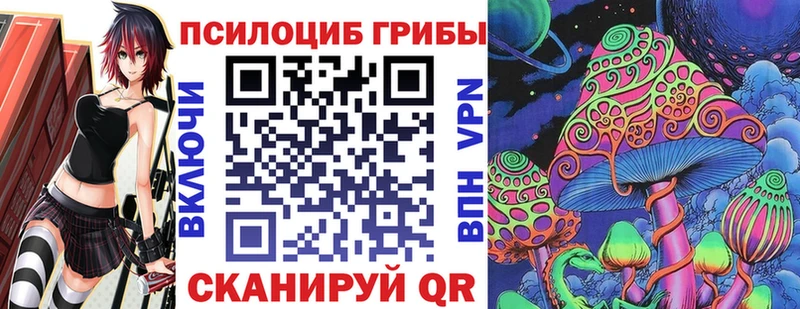 Псилоцибиновые грибы Psilocybine cubensis  Егорьевск 